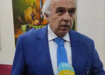 سلاسة السياسات الناعمة