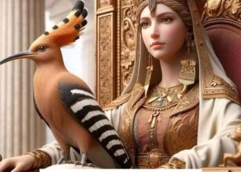 الهدهد و الشمس …