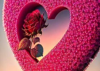 اوتار قلبي …