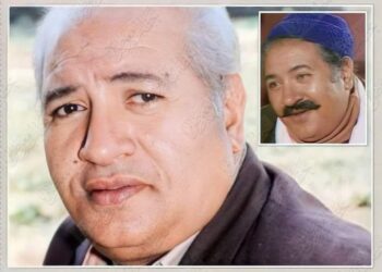 أستاذ دكتور في كيمياء مقاومة الحشرات الفنان سيد عبد الكريم