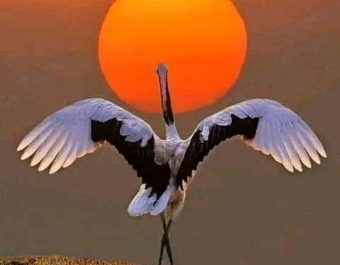 انّ الحياة قصيدةٌ