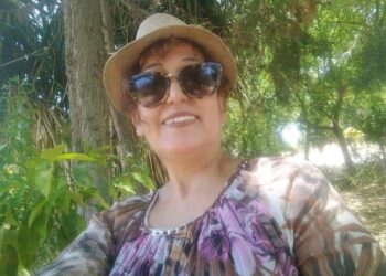 دلفت نحو الشاطئ