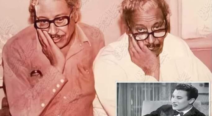 فنان ودبلوماسي عبد الرحمن حمدي توأم الفنان عماد حمدي …   