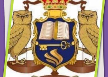 لإنفاذ وسيادة القانون.. المنظمة الحكومية الدولية البعثة الدبلوماسية IGO