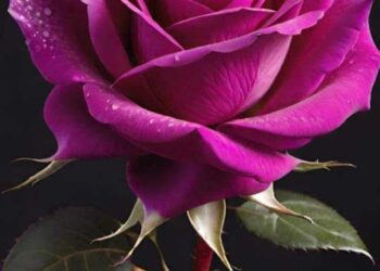 كل ما بتدخل الشات