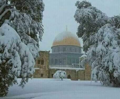 موشح يا ديار الوحي