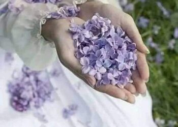 اطاح بي الشيب