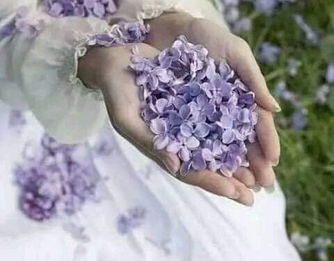 اطاح بي الشيب