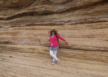 The  baby  oak tree