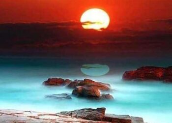 نبوة المرافىء