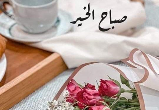 نبض الليل …