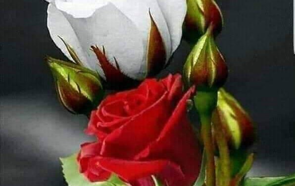 كدبنا عيونا …