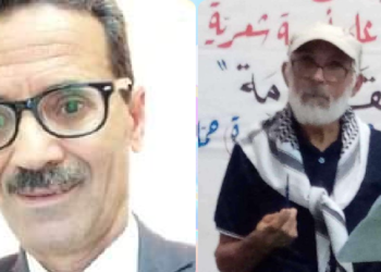 معارضة في شكل مشاكسة …