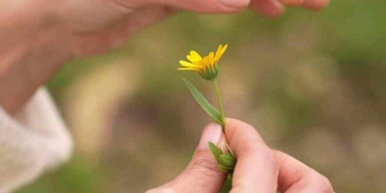 كنت احبها بطبقات …