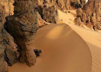 وكيف ننجو …