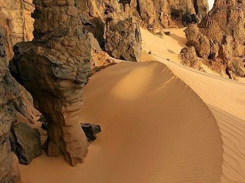 وكيف ننجو …