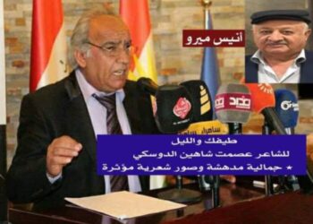 طيفك والليل