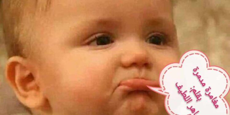 مغامرة مدمرة