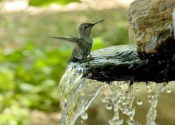 أخبروا عزيزاً سكن القلب …