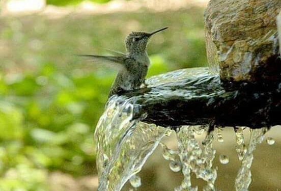 أخبروا عزيزاً سكن القلب …