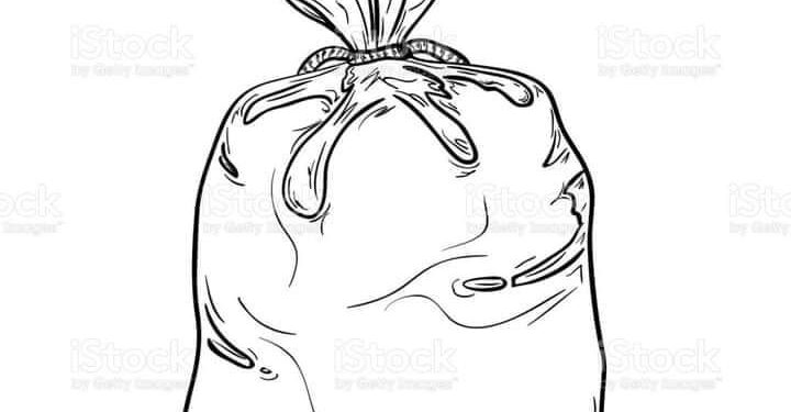 “أميرنا ” …