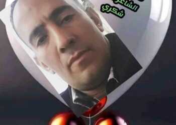 صهيل دواب …