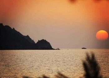 خلف الزمان ….شرنقة