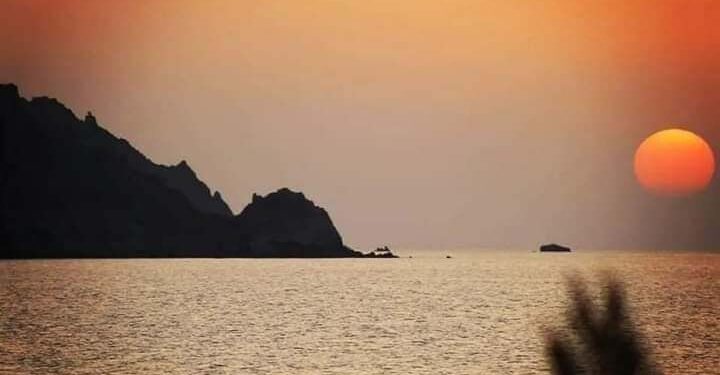 خلف الزمان ….شرنقة