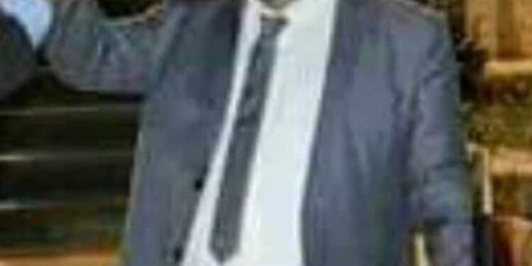 فلسطين داري