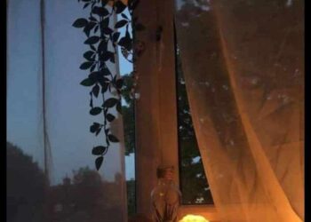 يوميات خافق