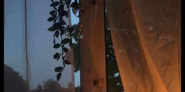 يوميات خافق