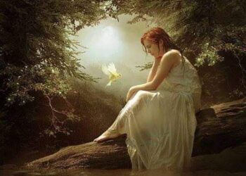 على جُنحِ خيال