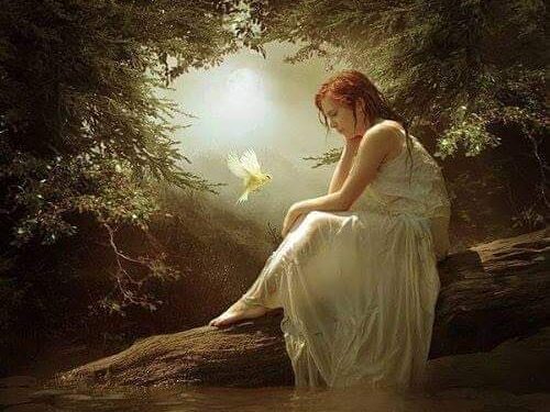 على جُنحِ خيال