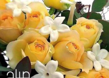 ماهي السعادة وكيف تكون سعيداً!