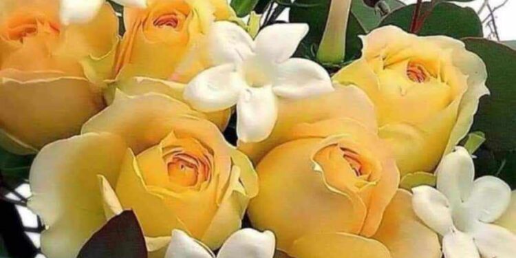 ماهي السعادة وكيف تكون سعيداً!