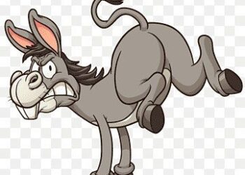 الصكـــــاك 