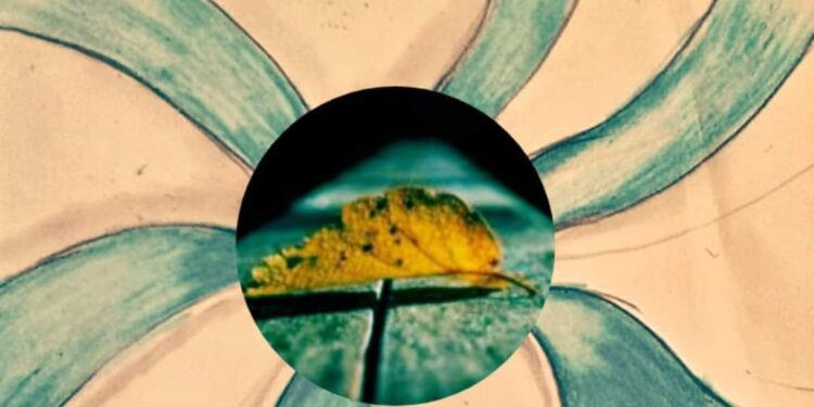 لا تكونوا كعقول خواء …