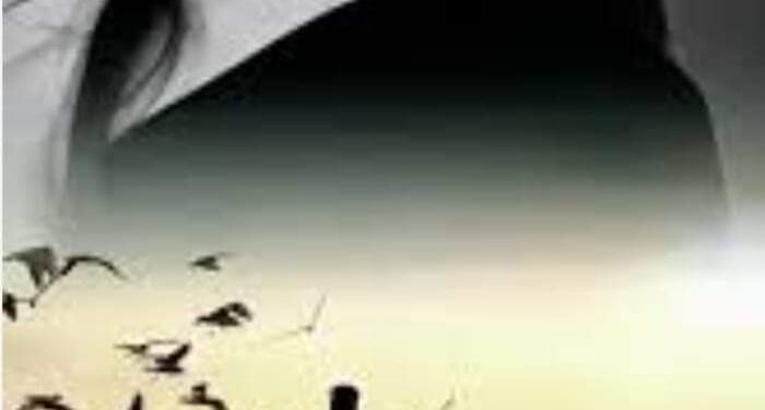 قلب بلا روح …