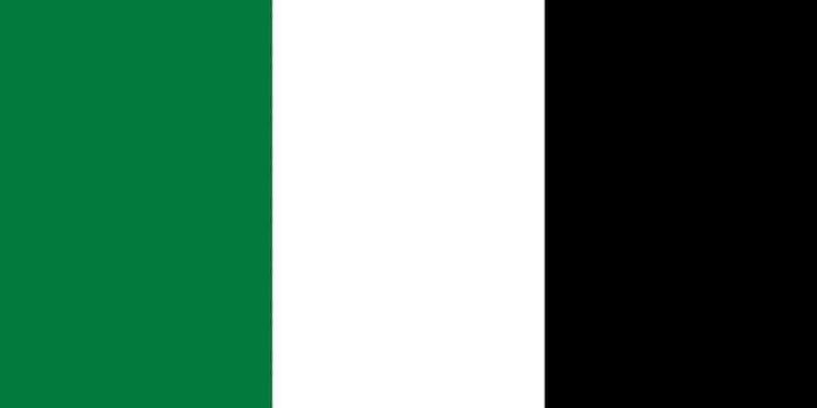 صباح النصر …