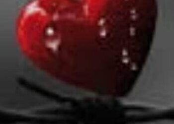 هواكي دايما يوسفي