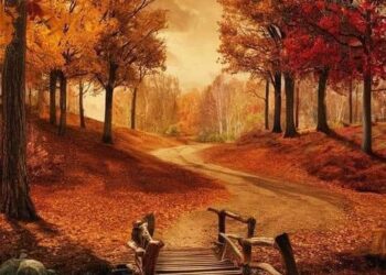 طائر العشق يطير بلا عنوان …