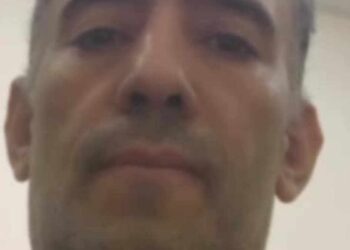 هاميس الحنين …