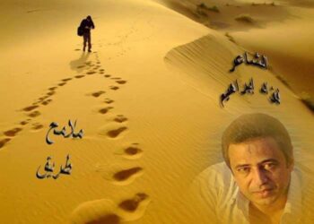 كلنا تايهين …