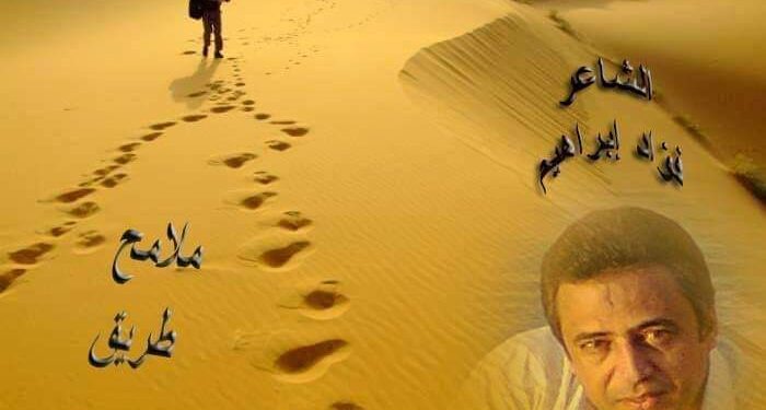 كلنا تايهين …