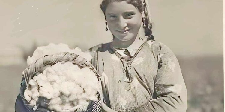 ملكوت وشمسُه وغنوته و أيلول …