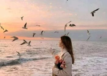   أجنحة العبير …