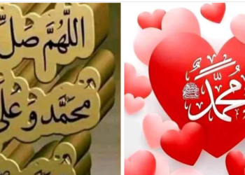 ولد الهدى …