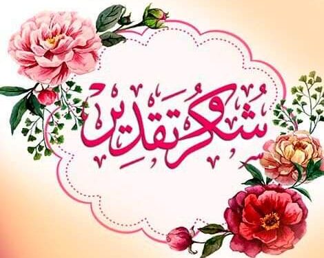 مصر الكنانة زاخرة بالخير بشبابها الصاعد