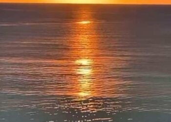 شمس الاصيل…..