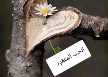 الحب المفقود …